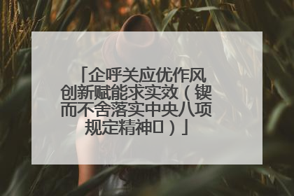 企呼关应优作风 创新赋能求实效（锲而不舍落实中央八项规定精神⑭）
